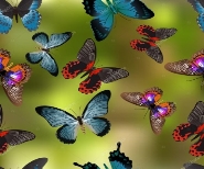 https://st2.depositphotos.com/6087768/10585/v/950/depositphotos_105858244-stock-illustration-seamless-texture-butterflies.jpg